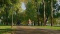 Happy family walking park together on sunny warm evening. Joyful girl jumping Royalty Free Stock Photo