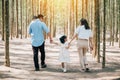 Happy family walking through the sunny forest Royalty Free Stock Photo