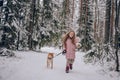 Happy family weekend - little cute girl in pink warm outwear walking having fun with red shiba inu dog in snowy white cold winter Royalty Free Stock Photo