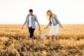 Happy family in a wheat field, Mom, dad and child are happy to walk at sunset Royalty Free Stock Photo