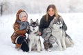 Happy family in the winter wood plays huskies with a dog. Beautiful snow wood. Royalty Free Stock Photo