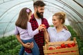 Happy family working in organic greenhouse. Man woman and child growing bio plants in farm garden. Royalty Free Stock Photo