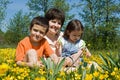 Happy family among yellow flowers Royalty Free Stock Photo