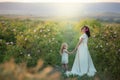 Happy family: a young beautiful pregnant woman with her little cute daughter walking in the wheat orange field on a Royalty Free Stock Photo