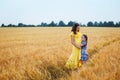 Happy family: a young beautiful pregnant woman with her little cute daughter walking in the wheat orange field on a sunny summer Royalty Free Stock Photo