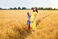 Happy family: a young beautiful pregnant woman with her little cute daughter walking in the wheat orange field on a sunny summer Royalty Free Stock Photo