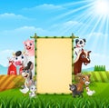 Happy farm animals with a blank sign bambbo in the hills Royalty Free Stock Photo