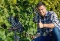 Happy farmer checking grapes on plantation Royalty Free Stock Photo