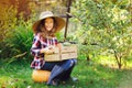 Happy farmer child girl with autumn harvest - organic pumpkins, carrots and zucchini picked from own garden Royalty Free Stock Photo