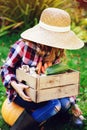 Happy farmer child girl picking autumn harvest in wooden box Royalty Free Stock Photo