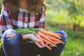 Happy farmer child girl picking fresh home growth carrot harvest from own garden Royalty Free Stock Photo