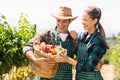 Happy farmer couple holding a basket of vegetables Royalty Free Stock Photo