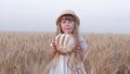 Happy farmer daughter, little cute child girl eats tasty freshly baked rooty and smiles happily staying in golden barley