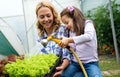 Happy farmer family harvesting lettuce and vegetables from the greenhouse. People lifestyle concept