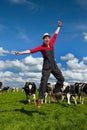 Happy farmer in field with cows Royalty Free Stock Photo