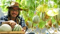 Happy farmer harvesting melons in a farm