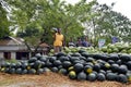 Happy farmer for her cultivated fruits when he collect from field