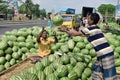 Happy farmer for her cultivated fruits when he collect from field