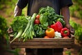 Happy farmer holding box of freshly picked vegetables in front of sunny farm landscape