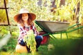 Happy farmer kid girl picking autumn vegetable harvest in the garden