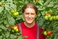 Happy Farmer picking tomato