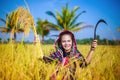 Happy farmer woman in rice field Royalty Free Stock Photo