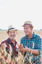 Happy Farmers examining wheat grains in field