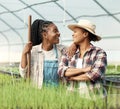 Happy farmers laughing and talking. Cheerful farmers working together in a greenhouse. African american colleagues