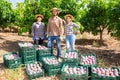 Farmers posing with harvest of mango in orchard Royalty Free Stock Photo