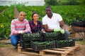 Happy farmers posing with harvest of zucchini