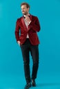 Happy fashion model wearing red velvet tuxedo and fixing bowtie Royalty Free Stock Photo