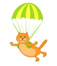 Red happy cat flies on a parachute. Vector cartoon image.