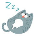 Happy fat gray cat sleeping illustration