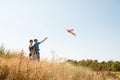 A happy father with children fly a kite on nature. Royalty Free Stock Photo