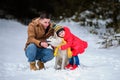 Happy father with daughter on a walk in the woods, girl and husky in yellow scarves, bright clothes in winter Royalty Free Stock Photo