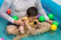 happy father and infant baby girl playing water splashing with colorful plastic balls in inflatable pool Royalty Free Stock Photo