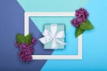 Happy Father`s day or Birthday Pastel Candy Blue Colour Background. Floral flat lay greeting card with picture frame. Royalty Free Stock Photo