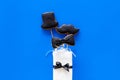 Happy Father`s day cards. Black tie, mustache and hat cookies in gift. Blue background top view copyspace Royalty Free Stock Photo