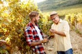 Happy father and son cutting grapes in vineyard Royalty Free Stock Photo