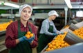 Happy female fruit sorting factory worker holding tangerines Royalty Free Stock Photo