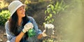 Happy female gardener smiling during farming and sprinkling seedlings in the garden. A farmer woman smiling during the examination