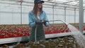 Happy Female Gardener Waters Plants and Flowers with a Hosepipe in Sunny Industrial Greenhouse.
