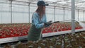 Happy Female Gardener Waters Plants and Flowers with a Hosepipe in Sunny Industrial Greenhouse.