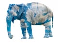 Elephant in the clouds Royalty Free Stock Photo