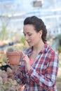 Happy female nursery owner with pot flowers inside greenhouse Royalty Free Stock Photo