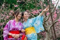 Happy female travelers wearing traditional kimono Royalty Free Stock Photo