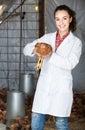 Female veterinarian in white coat holding brown chicken in hands on farm Royalty Free Stock Photo