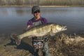 Happy fisherman with big zander. Success walleye fishing at wild river