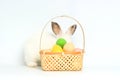 Happy fluffy bunny rabbit wearing daisy flower crown with basket painted Easter egg on white background. celebrate Easter holiday Royalty Free Stock Photo