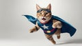happy flying cat using superhero wear Royalty Free Stock Photo